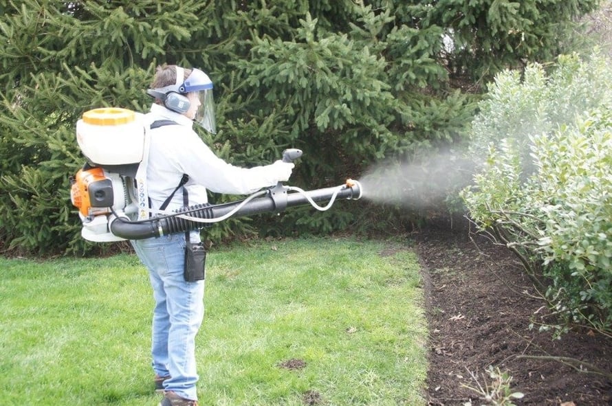 Mosquito Service Springfield NJ Cooper Pest Solutions